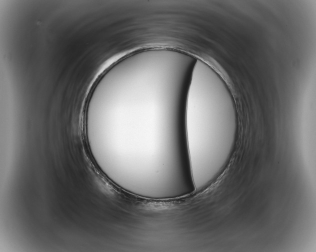 X0000087561044200704270922