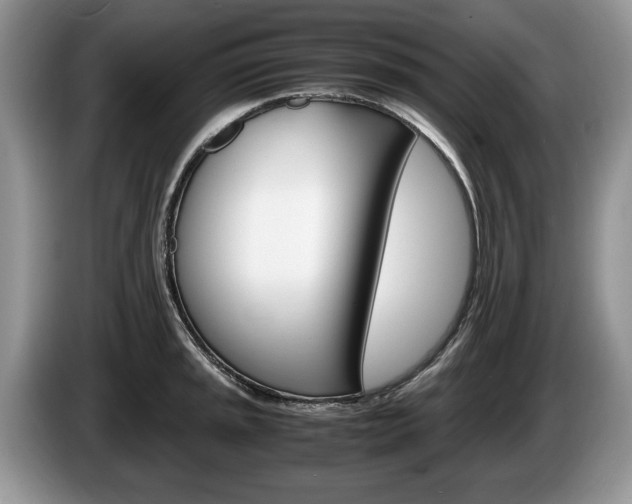 X0000087561045200704270922