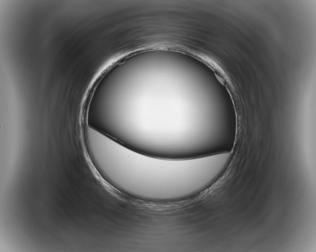 X0000087561046200704270922