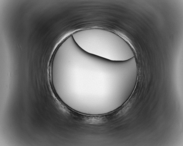 X0000087561047200704270922