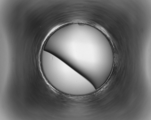 X0000087561048200704270922