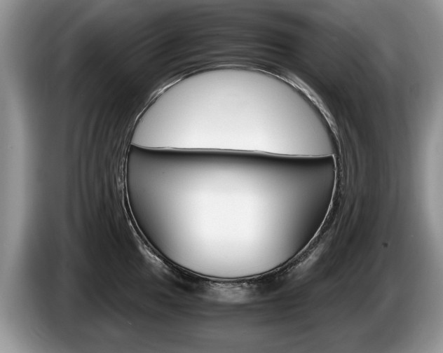 X0000087561049200704270922