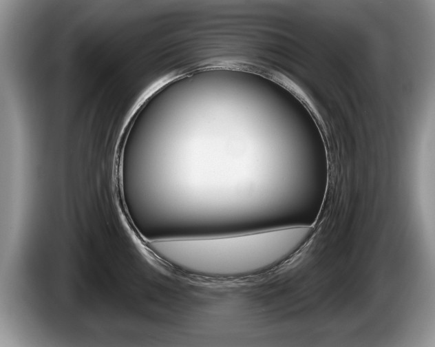 X0000087561050200704270922