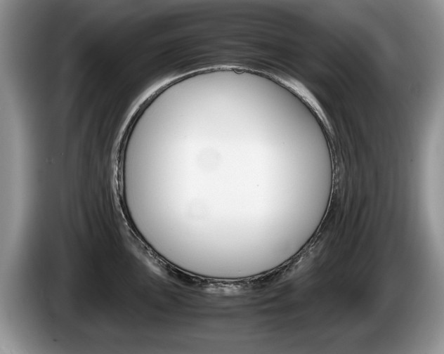 X0000087561051200704270922