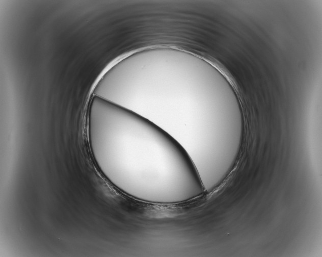 X0000087561052200704270922