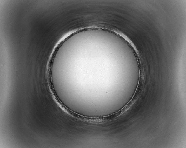 X0000087561053200704270922