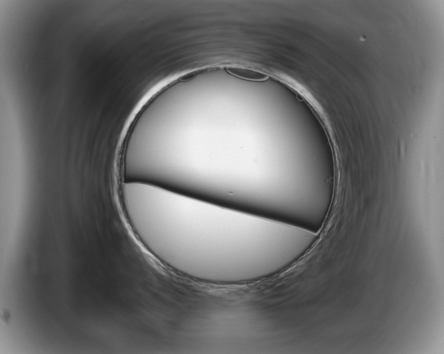 X0000087561056200704270922