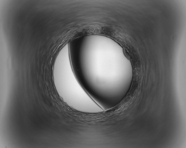 X0000087561057200704270922