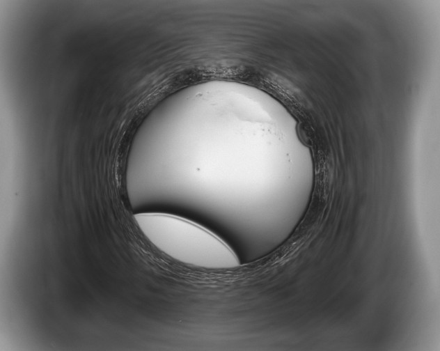 X0000087561058200704270922