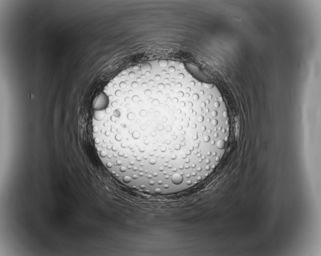 X0000087561059200704270922