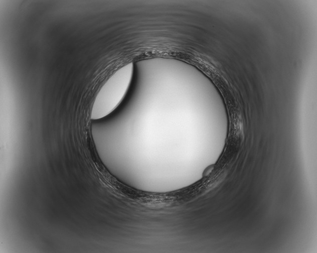 X0000087561060200704270922