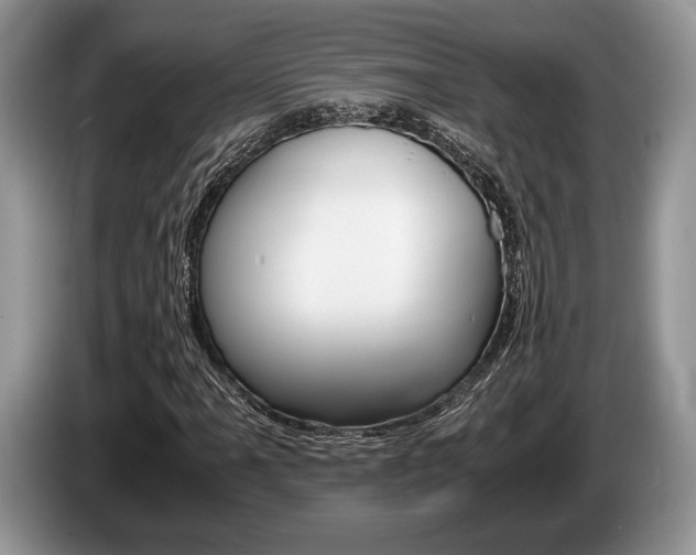 X0000087561061200704270922