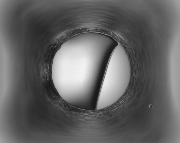 X0000087561062200704270922
