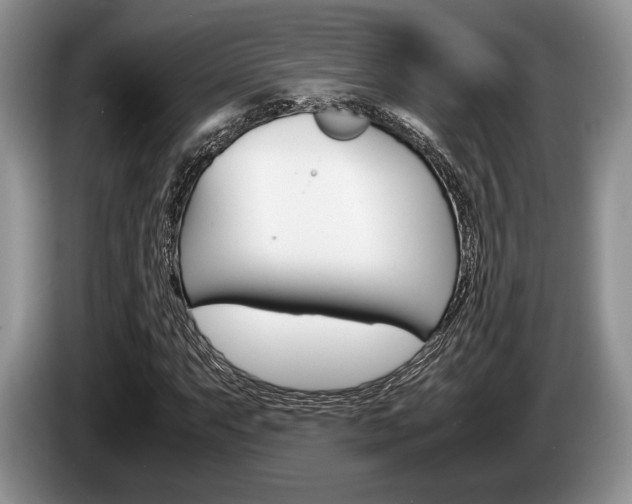 X0000087561063200704270922