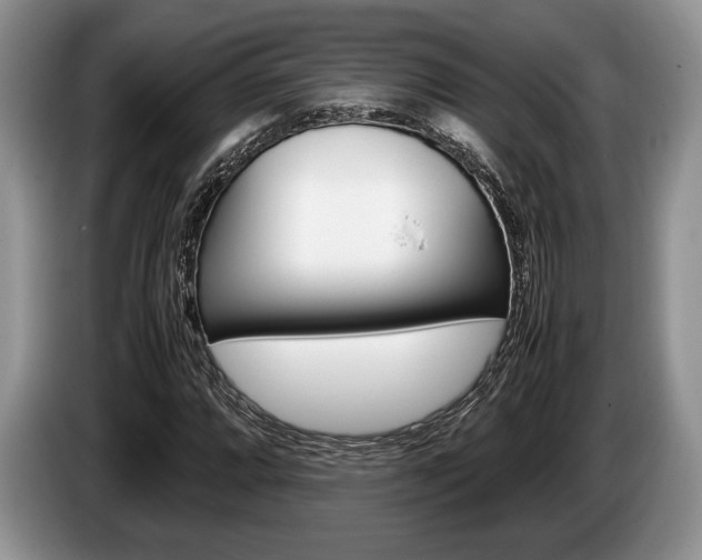X0000087561064200704270922