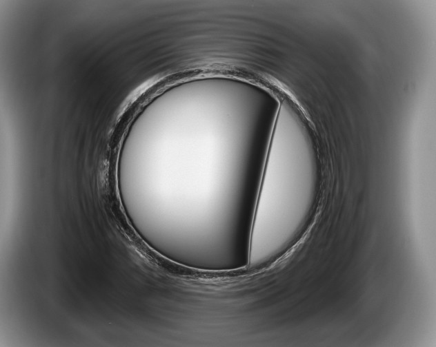 X0000087561066200704270922