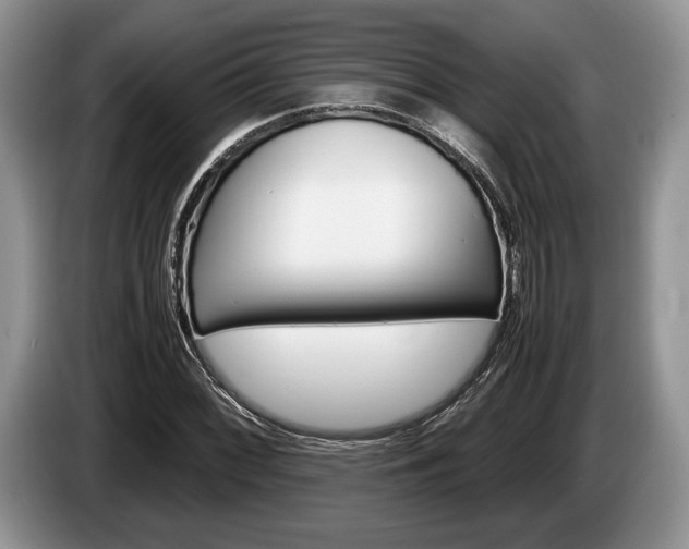 X0000087561068200704270922