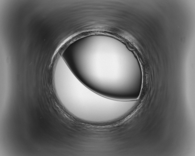 X0000087561069200704270922
