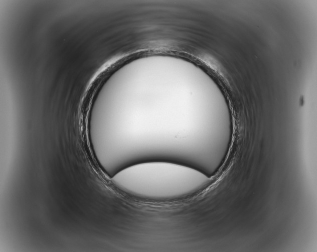 X0000087561070200704270922
