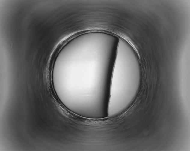 X0000087561072200704270922