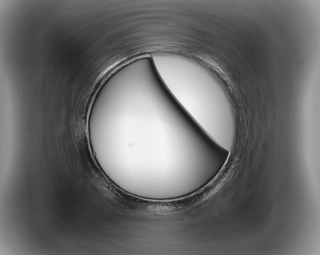 X0000087561073200704270922