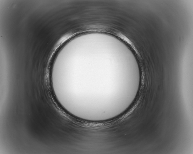 X0000087561074200704270922