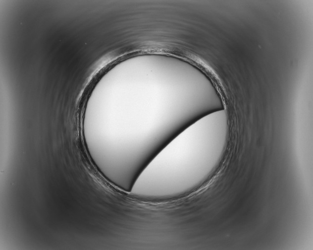 X0000087561075200704270922