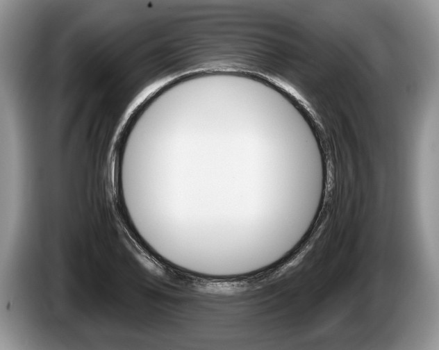 X0000087561078200704270922