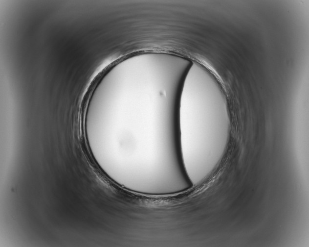 X0000087561079200704270922