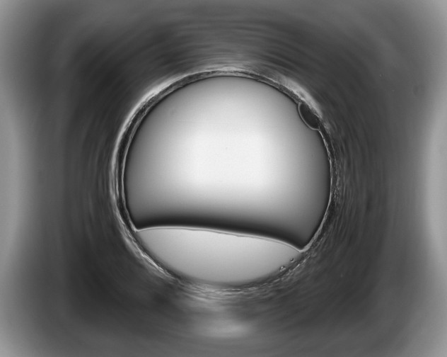 X0000087561080200704270922