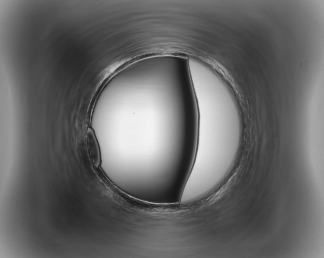 X0000087561081200704270922