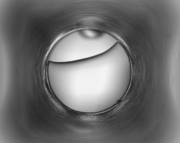 X0000087561083200704270921