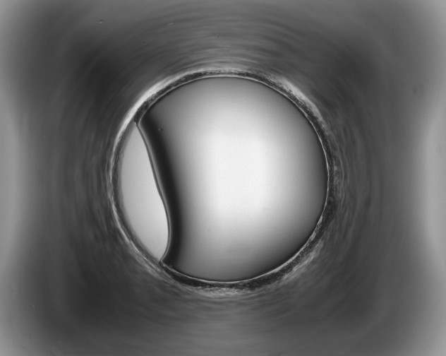 X0000087561085200704270921
