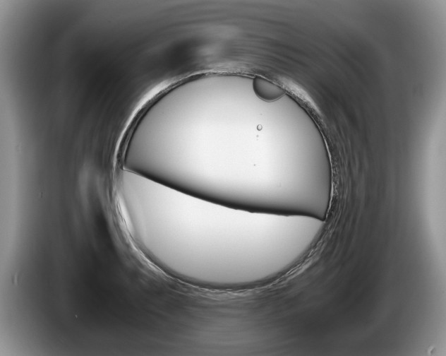 X0000087561087200704270921