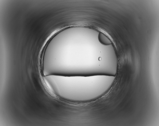 X0000087561091200704270921