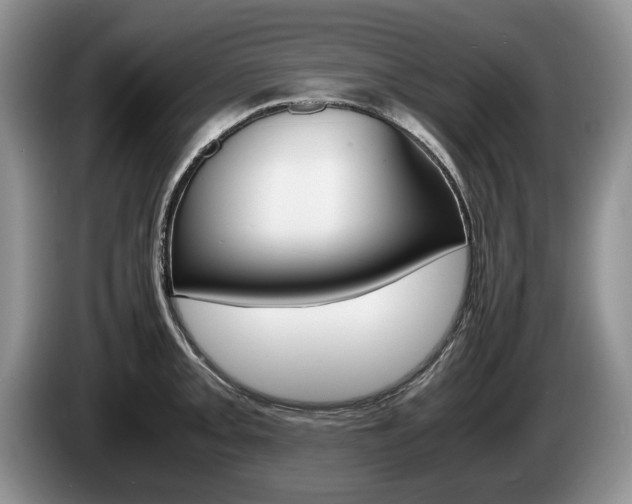 X0000087561093200704270921