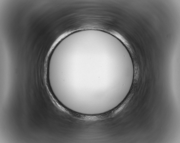 X0000087561094200704270921