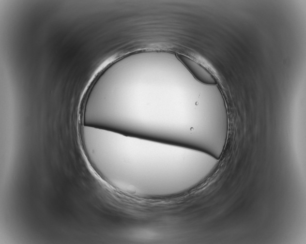 X0000087561095200704270921