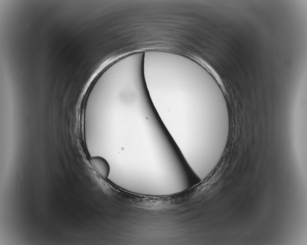 X0000087561099200704270921