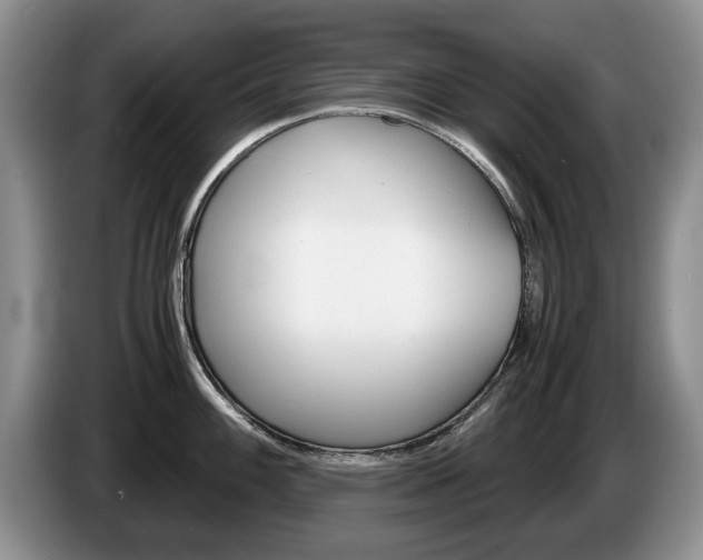 X0000087561100200704270921
