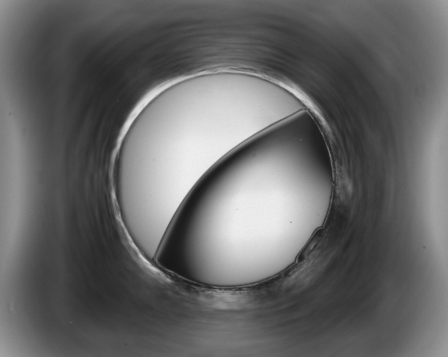 X0000087561102200704270921