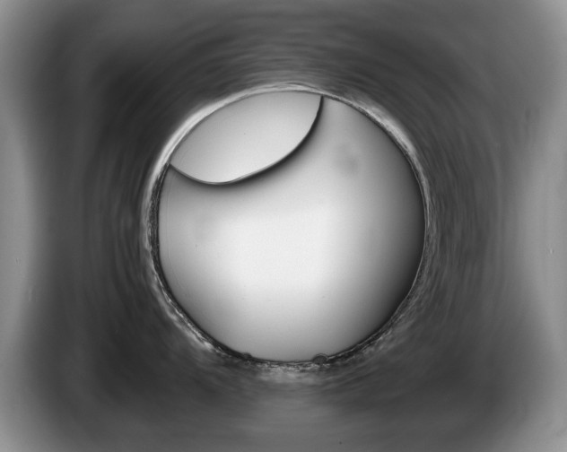 X0000087561104200704270921
