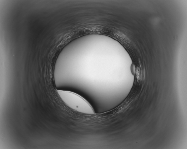 X0000087561107200704270921