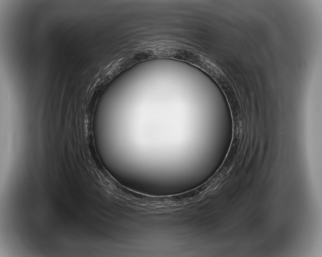 X0000087561108200704270921