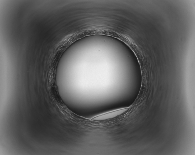 X0000087561110200704270921