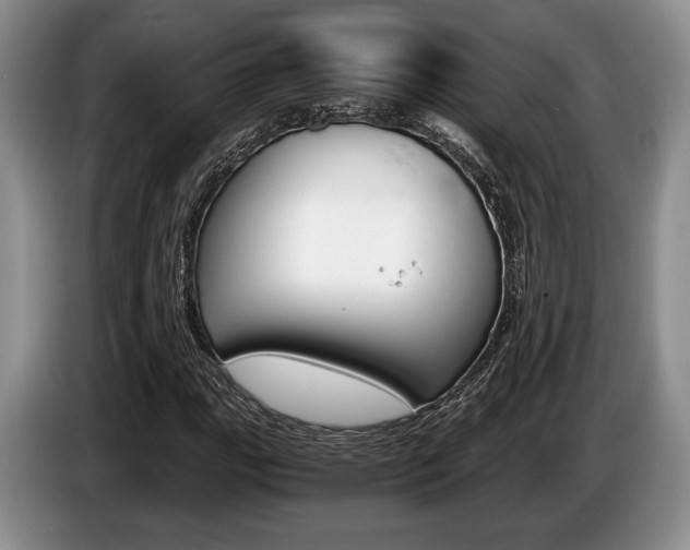 X0000087561111200704270921