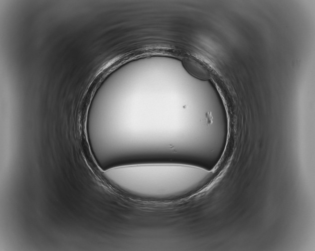 X0000087561113200704270921