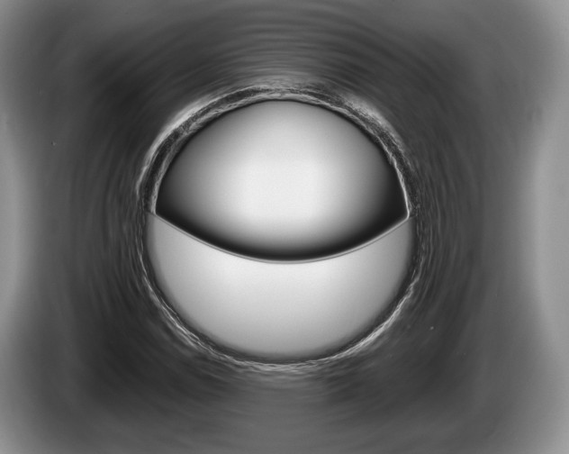 X0000087561114200704270921