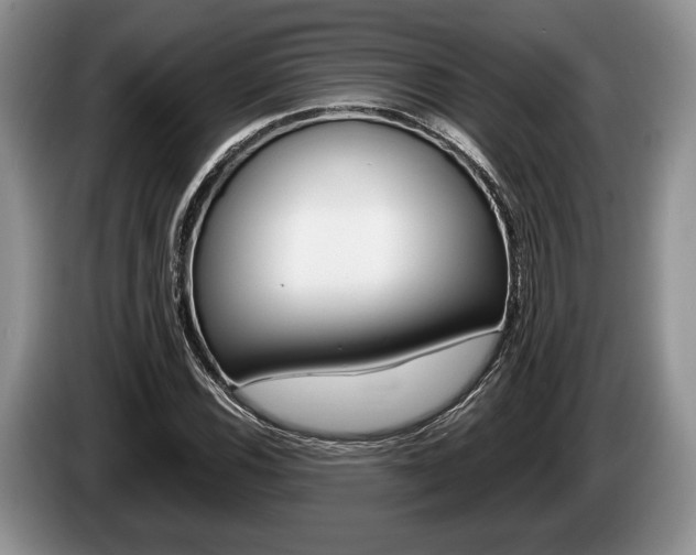X0000087561116200704270921