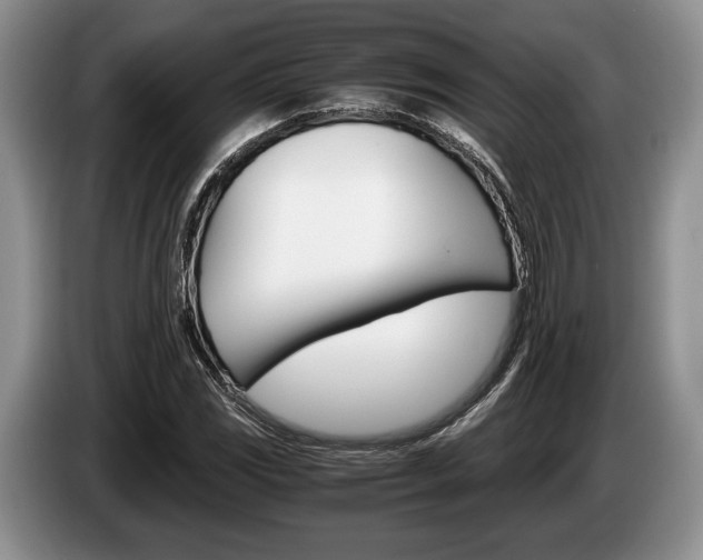X0000087561117200704270921
